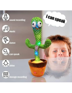 Cactus bailarín en español 2