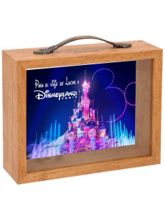 Hucha de madera DISNEYLAND PARIS