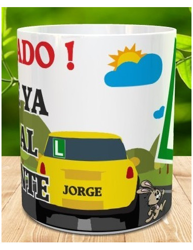 Taza coductor novel